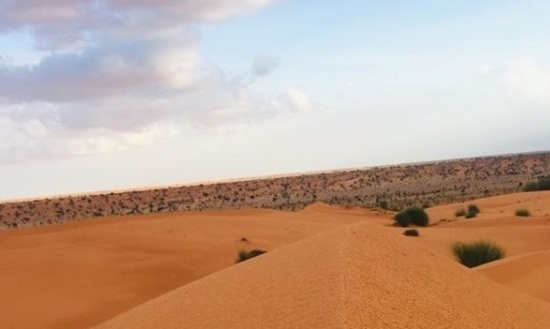 الأرصاد تحذر من موجة حر شديدة شمال البلاد